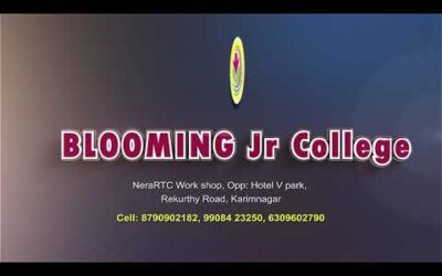 BLOOMING VOC JR COLLEGE